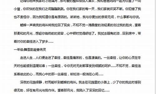 我心中的那一丝牵挂_我心中的那一丝牵挂600字作文