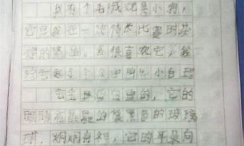 优秀日记400字可抄_优秀作文400字可抄